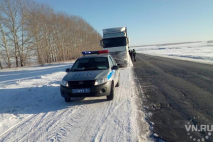 Лошади замерзли на трассе под Новосибирском