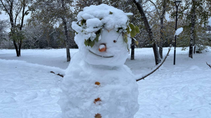 В Новосибирске потеплеет до +1 градуса в последний день 2025 года