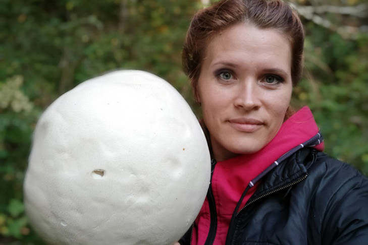 Поляну с огромными грибами-мячами нашла жительница Искитима 