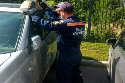 Годовалый ребёнок оказался заперт в автомобиле в Новосибирске