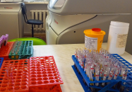 Телемедицина и пренатальный скрининг стали доступны по ОМС жителям Новосибирской области