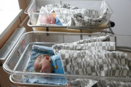 Очереди за СНИЛС для детских выплат – как избежать