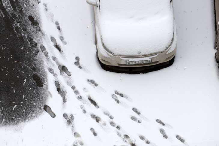 Снег, дождь и ветер прогнозируют в Новосибирске на выходных