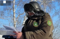 Диких животных стало больше в новосибирских лесах