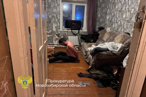 В Новосибирске задержаны 11 цыган за вымогательство денег у участников СВО