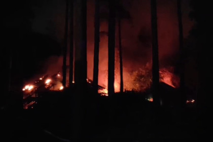 Названа причина ночного пожара в Новосибирском зоопарке