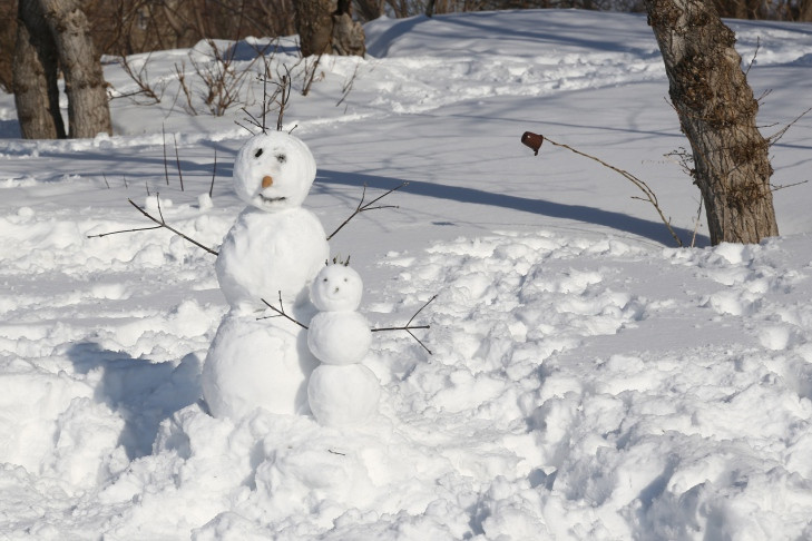 МЧС предупредило о резком похолодании до -37 с 9 января в Новосибирске