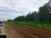 В Новосибирской области асфальтируют 9 км дороги «Барабинск – Зюзя – Квашнино» по нацпроекту