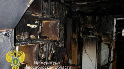 Жительнице Новосибирской области вынесли приговор за гибель детей на пожаре