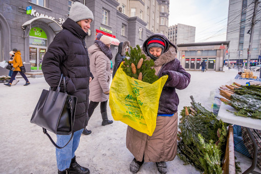 Названы точные даты перечисления предновогодних пенсий и пособий в декабре-2025