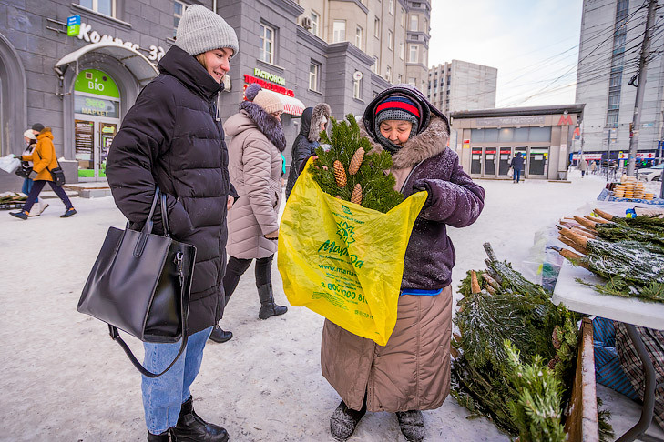 Названы точные даты перечисления предновогодних пенсий и пособий в декабре-2025