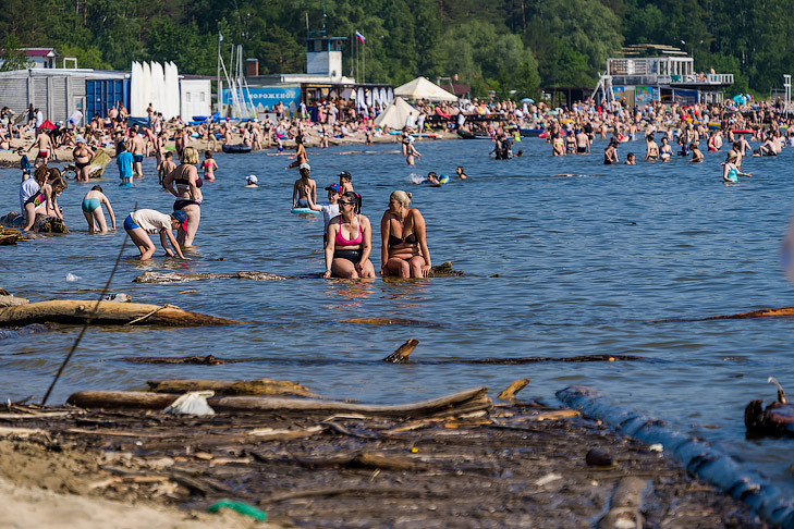 В Новосибирске подсчитали число отдыхающих на диких пляжах