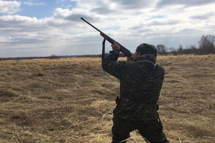 Охотники не могут получить разрешения в Новосибирской области