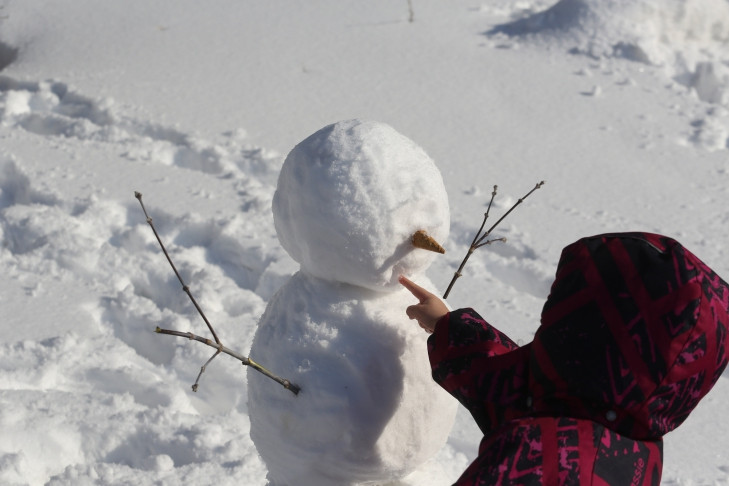 Секретом снежных баб с идеальными формами поделился новосибирский химик