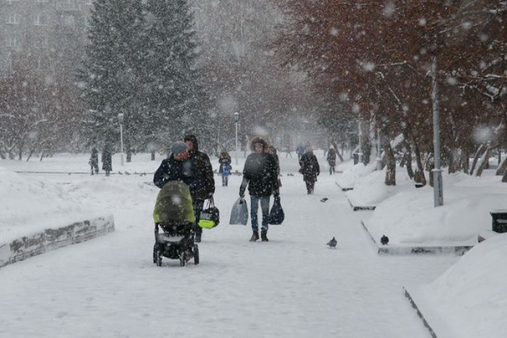 Погода в Новосибирске до 18 января: снегопад и потепление