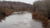 Вода в реке Тартас продолжает прибывать