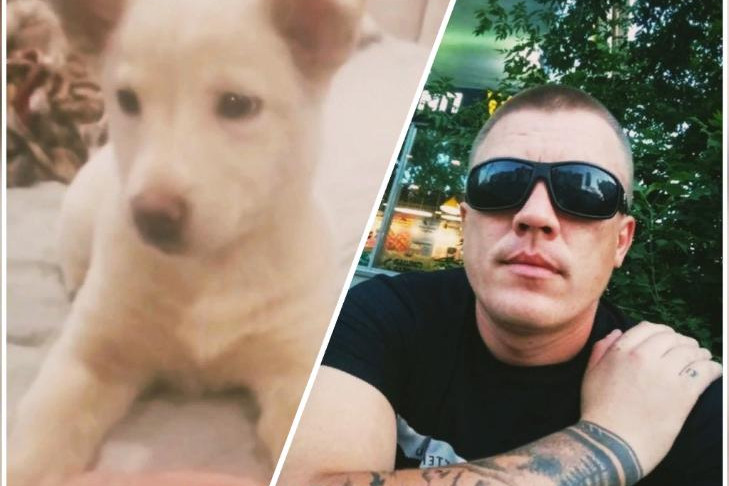 Житель Новосибирска повесил на балконе щенка в отместку бывшей