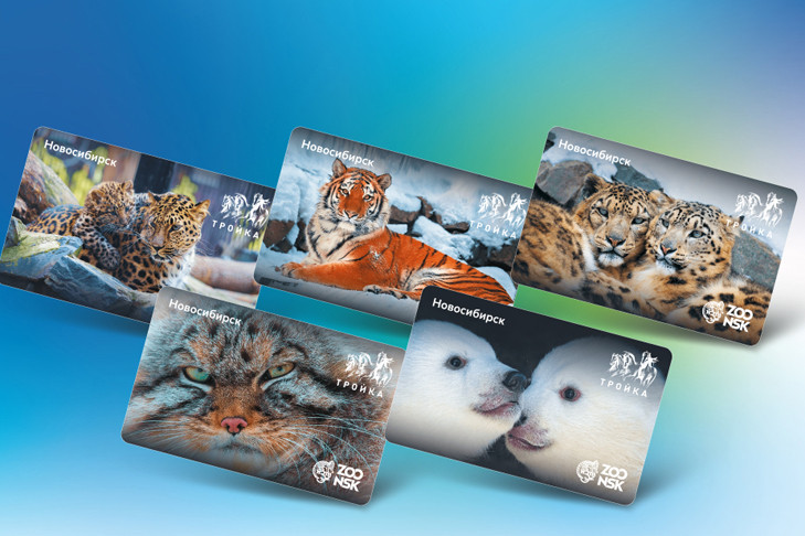 Обитатели Новосибирского зоопарка появятся на транспортных картах Новосибирска
