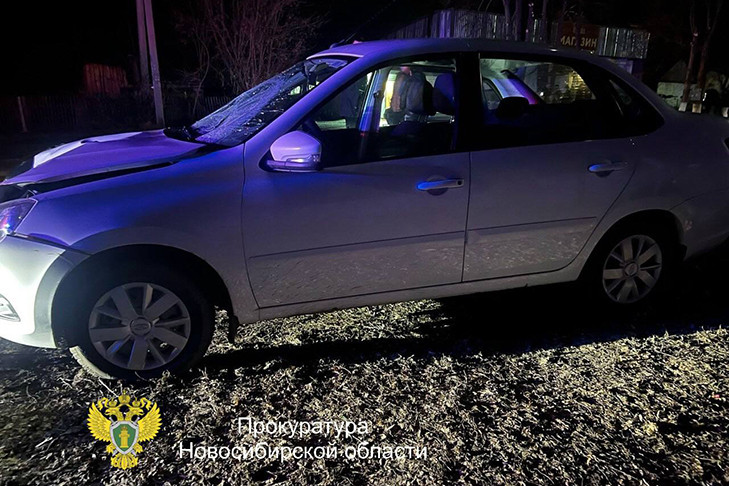 Пьяная сибирячка погубила двух пешеходов в Тогучинском районе