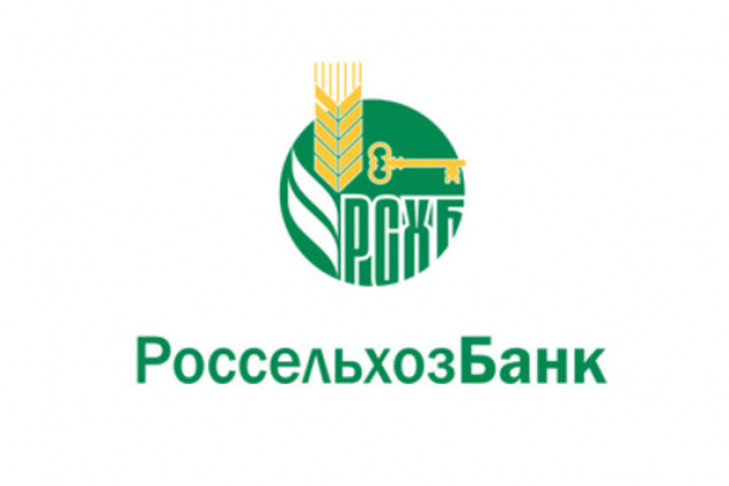 Дмитрий Патрушев подвел итоги работы Россельхозбанка по кредитованию сезонных работ в 2017 году 