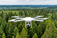 Порядка 300 миллионов потратят в Новосибирской области на защиту лесов от огня