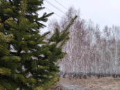 Синоптики предупреждает об ухудшении погоды в Новосибирской области 18 апреля