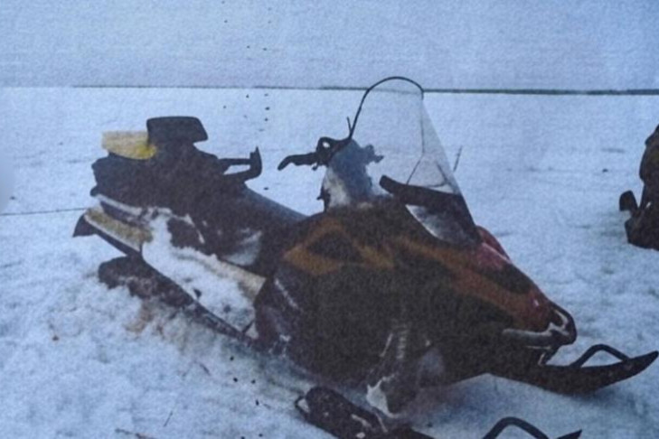 Трех жителей Усть-Тарки будут судить за подстреленного в заказнике кабана