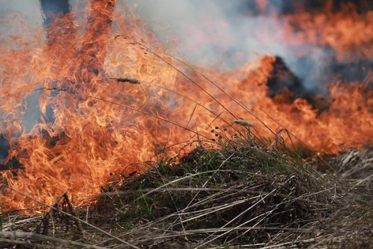 Уголовное наказание грозит поджигателю 100 домов из Мошковского района