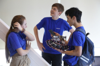 Семь площадок для сдачи ТехноГТО на золотые значки откроется в Новосибирской области