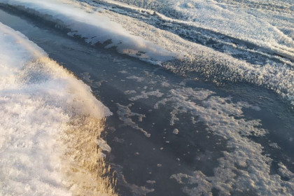 Фекальные реки хлынули на нудистский пляж в Новосибирске