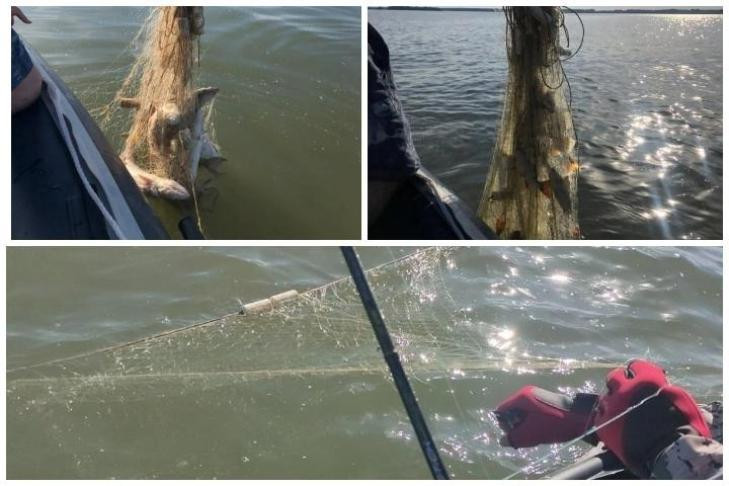 Браконьеры погубили 300 кг рыбы возле поселка Боровое в Обском водохранилище