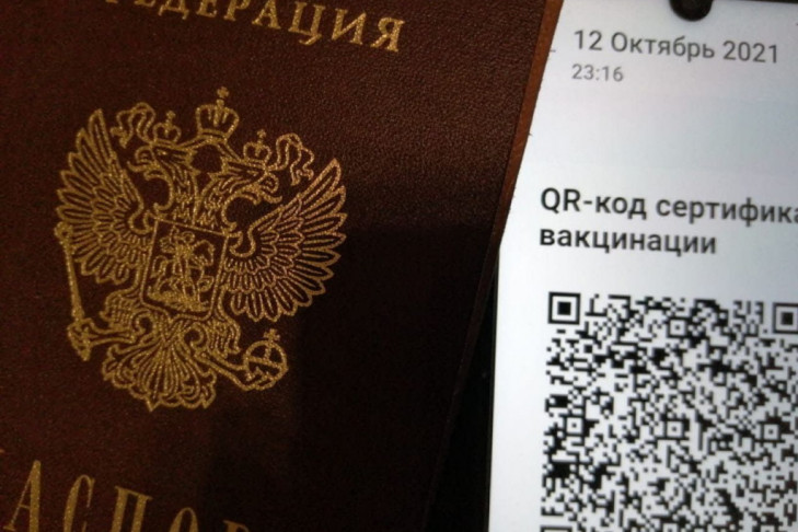 Новый способ подтвердить QR-код предложили жителям Новосибирска