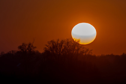 Астрономическая весна наступила в Новосибирске в пятницу 20 марта