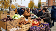 Борщевой набор в Новосибирской области подешевел на фоне сезонного урожая