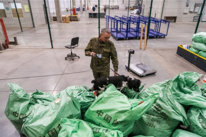 Новосибирские таможенники изъяли у жительницы Сибири чай с запрещенным веществом