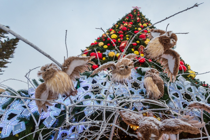 Новогодние шары и гирлянды почти на три миллиона закупят для Новосибирска
