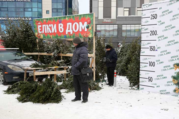 Мэрия назвала дату открытия елочных базаров в Новосибирске