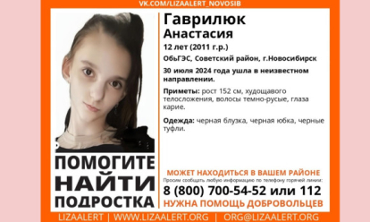 Вторые сутки ищут пропавшую 12-летнюю девочку в Новосибирске