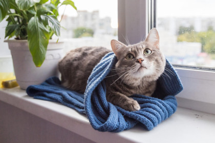 Батареи остынут в домах Новосибирска с 29 апреля