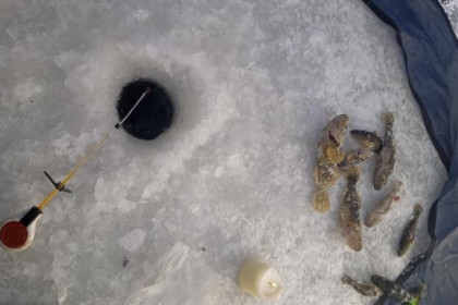 Сезон зимней рыбалки открыли новосибирские рыбаки