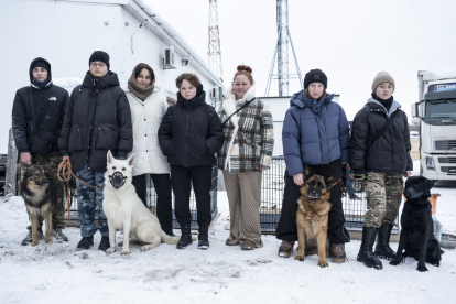 Четыре подготовленные новосибирскими кинологами собаки отправлены в зону СВО