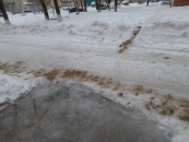 Из-за аномальной погоды бердчане с трудом добрались до работы