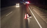 Пешеход погиб под колёсами иномарки на трассе под Новосибирском