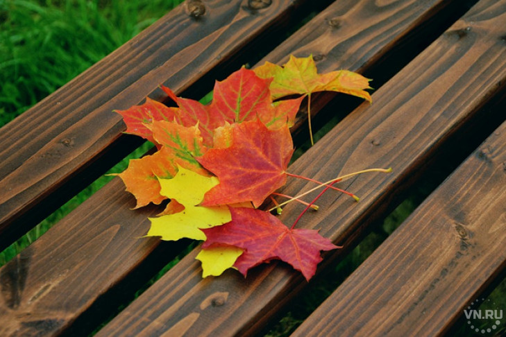 Погода на 5-7 сентября в Новосибирске: прощание с летом