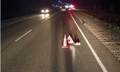 Пешеход погиб под колёсами иномарки на трассе под Новосибирском