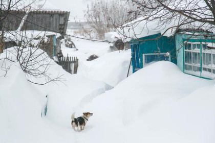 Пенсионер умер от холода на огороде в Карасуке