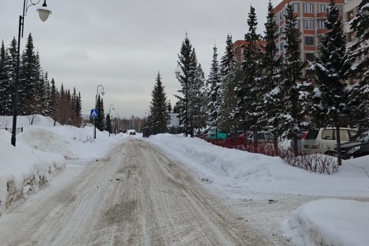 Жители Легендарной протестуют против продления улицы в Новосибирске