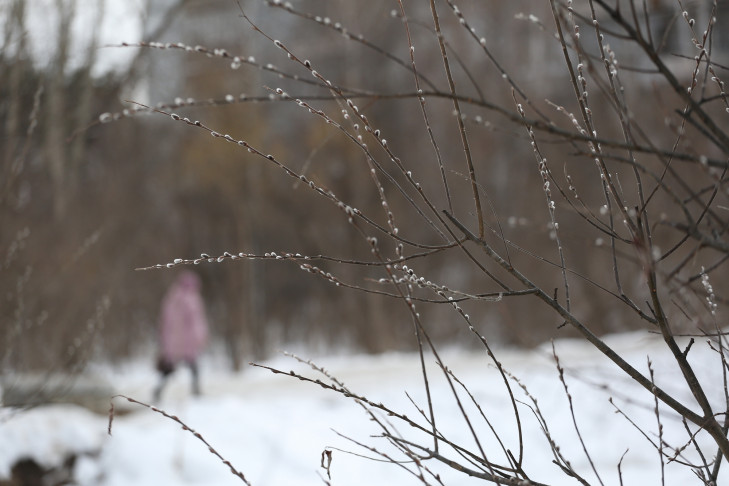 Дождь и мокрый снег обрушатся на Новосибирск в последние выходные марта