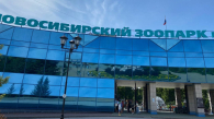 В Новосибирском зоопарке строят новые павильоны: кто переедет в новые дома