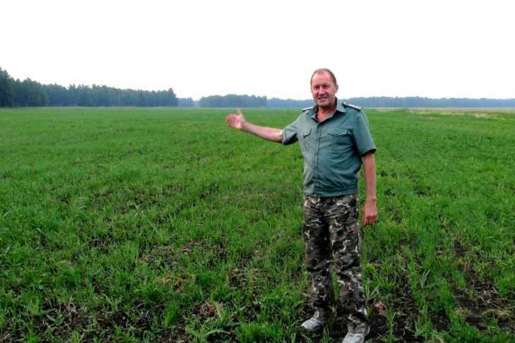 Взятка конями: суд рассматривает второе уголовное дело замдиректора Кирзинского заповедника